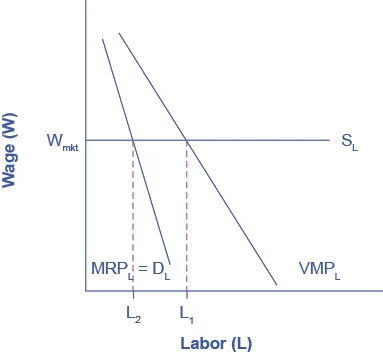 The graph shows the Marginal Product of Labor.  The x-axis is Labor.  The y-axis is Wage.  A horizontal line indicating the going market wage projects from about halfway up the y-axis.  Two curves are includesd in order to demonstrate the difference for firms with market power.  The first curve represents normal firms, and proceeds from right to left in a downward direction; where it intersects the Wage horizontal line, it is point L1.  The second curve, representing firms with market power, is steeper, and intersects the Wage line earlier (at a lower level of employment), at point L2, where the going market wage equal's the firm's marginal revenue product.  