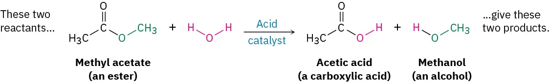 The two reactants methyl acetate (ester) and water in the presence of acid catalyst form two products: acetic acid (a carboxylic acid) and methanol (an alcohol).