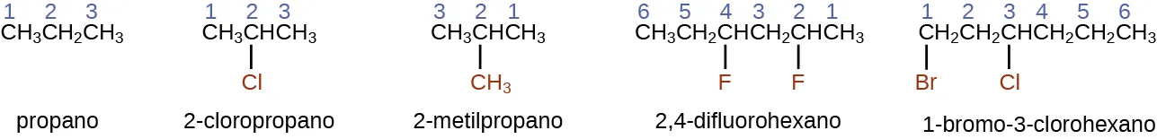 Esta figura muestra las fórmulas estructurales del propano, el 2-cloropropano, el 2-metilpropano, el 2,4-difluorohexano y el 1-bromo-3-clorohexano. En cada una de las estructuras, los átomos de carbono están en una fila con átomos de halógeno enlazados y un grupo metilo enlazado debajo de las figuras. El propano aparece simplemente como C H subíndice 3 C H subíndice 2 C H subíndice 3, con los números 1, 2 y 3 que aparecen sobre los átomos de carbono de izquierda a derecha. El 2-cloropropano muestra de forma similar C H subíndice 3 C H C H subíndice 3, con los números 1, 2 y 3 que aparecen sobre los átomos de carbono de izquierda a derecha. Un átomo de C l está enlazado por debajo del carbono 2. El átomo de C l es rojo. El 2-metilpropano muestra de forma similar el C H subíndice 3, con los números 3, 2 y 1 que aparecen sobre los átomos de carbono de izquierda a derecha. Un grupo C H subíndice 3 está enlazado debajo del carbono 2 y es de color rojo. El 2,4-difluorohexano muestra de forma similar C H subíndice 3 C H subíndice 2 C H subíndice 2 C H C H subíndice 3, con los números 6, 5, 4, 3, 2 y 1 que aparecen sobre los átomos de carbono de izquierda a derecha. Los átomos de F están enlazados a los carbonos 4 y 2 en la parte inferior de la estructura y son de color rojo. El 1-bromo-3-clorohexano muestra de forma similar C H subíndice 2 C H subíndice 2 C H subíndice 2 C H subíndice 3, con los números 1, 2, 3, 4, 5 y 6 que aparecen sobre los átomos de carbono de izquierda a derecha. B r está enlazado por debajo del carbono 1 y C l está enlazado por debajo del carbono 3. Tanto B r como C l son rojos.