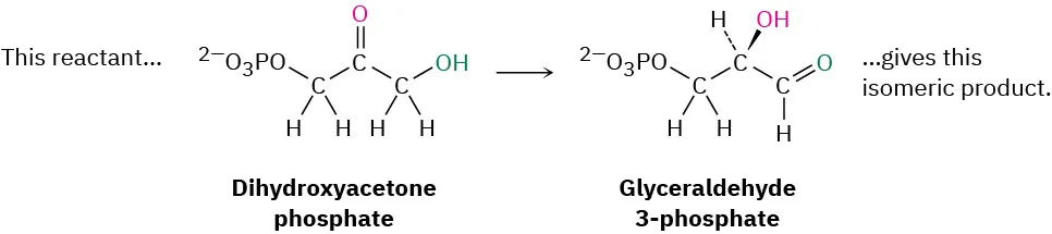 The single reactant dihydroxyacetone phosphate reacts to form a single isomeric product, glyceraldehyde 3-phosphate.