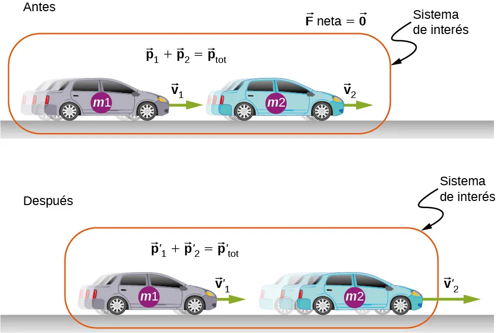 Ilustración de la colisión de dos autos con masas m 1 y m 2. El sistema de interés son los dos autos antes y después de la colisión. Antes de la colisión, el auto m 2 está delante y avanza con velocidad v 2, y el auto m 1 está detrás, avanzando con velocidad v 1. El vector neto F = 0 y los vectores p 1 más p 2 son iguales a p total (tot). Después de la colisión, el auto m 2 está delante y avanza con una velocidad v 2 prima que es mayor que v 2 antes de la colisión, y el auto m 1 está detrás, avanzando con una velocidad v 1 prima que es menor que v 1 antes de la colisión. Los vectores p 1 primo más p 2 primo son iguales a p tot primo.
