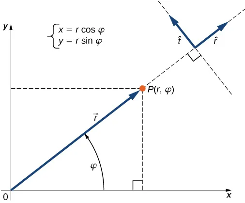 Punkt początkowy wektora r znajduje się w początku prostokątnego układu współrzędnych, a jego punkt końcowy z punkcie P. Kąt zawarty między wektorem r oraz dodatnim kierunkiem osi x to kąt fi. X równa się r cosinus fi, a y równa się r sinus fi. Wektor jednostkowy r z daszkiem zaznaczony jest na przedłużeniu wektora r. Wektor jednostkowy t z daszkiem jest prostopadły do wektora r z daszkiem (jest przesunięty o 90 stopni w kierunku przeciwnym do ruchu wskazó→wek zegara).