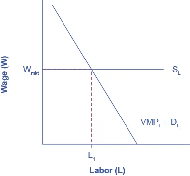 The graph shows the Marginal Product of Labor.  The x-axis is Labor.  The y-axis is Wage.  The curve proceeds from right to left in a downward direction.  A horizontal line indicating the going market wage projects from about halfway up the y-axis.  Where the curve and the horizontal line meet, it is point L1.  The caption provides context.