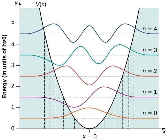 The harmonic potential V of x and the wave functions for the n=0 through n=4 quantum states of the potential are shown. Each wave function is displaced vertically by its energy, measured in units of h nu sub zero. The vertical energy scale runs from 0 to 5. The potential V of x is an upward opening parabola, centered and equal to zero at x = 0. The region below the curve, outside the potential, is shaded. The energy levels are indicated by horizontal dashed lines and are regularly spaced at energy of 0.5, 1.2, 2.5, 3.5 and 4.5 h nu sub 0. The n=0 state is even. It is symmetric, positive and peaked at x=0. The n = 1 state is odd. It is negative for x less than zero, positive for x greater than zero, zero at the origin. It has one negative minimum and one positive minimum. The n=2 state is even. It is symmetric, with a negative minimum at x=0 and two positive maxima, one at positive x and the other at negative x. The n = 3 state is odd. It is zero at the origin. It has, from left to right, a negative minimum and positive maximum on the left of the origin, then a positive maximum and negative minimum to the right of the origin. The n=4 state is even. It has a maximum at the origin, a negative minimum on either side, and a positive maximum outside of the minima. All of the states are clearly nonzero in the shaded region and go asymptotically to zero as x goes to plus and minus infinity. The minima and maxima are all inside the potential, in the unshaded region. Vertical dashed lines show the values of x where the potential is equal to the energy of the state, that is, where the horizontal dashed lines cross the V of x curve.