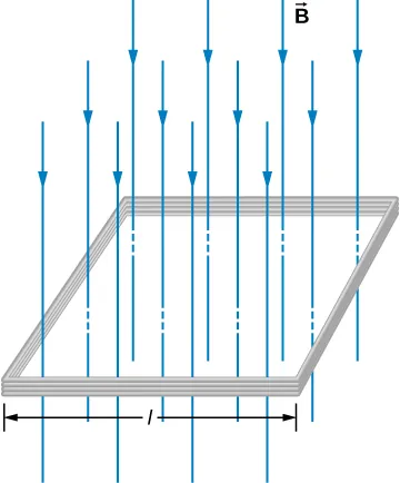 La figura muestra una bobina cuadrada de la longitud de lado l con N vueltas de alambre. Un campo magnético uniforme B se dirige en dirección descendente, perpendicular a la bobina.