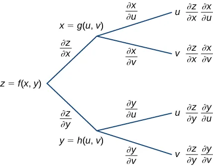 A diagram that starts with z = f(x, y). Along the first branch, it is written ∂z/∂x, then x = g(u, v), at which point it breaks into another two branches: the first subbranch says ∂x/∂u, then u, and finally it says ∂z/∂x ∂x/∂u; the second subbranch says ∂x/∂v, then v, and finally it says ∂z/∂x ∂x/∂v. Along the other branch, it is written ∂z/∂y, then y = h(u, v), at which point it breaks into another two branches: the first subbranch says ∂y/∂u, then u, and finally it says ∂z/∂y ∂y/∂u; the second subbranch says ∂y/∂v, then v, and finally it says ∂z/∂y ∂y/∂v.