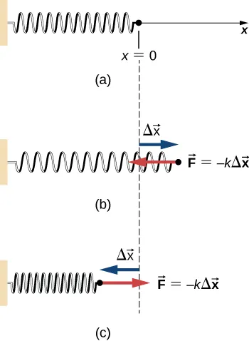 A horizontal spring whose left end is attached to a wall is shown in three different states. In all the diagrams, the displacement x is measured as the displacement to the right of the right end of the spring from its equilibrium location. In figure a, the spring is relaxed and the right end is at x = 0. In figure b, the spring is stretched. The right end of the spring is a vector delta x to the right of x = 0 and feels a leftward force F equals minus k times the vector delta x. In figure c, the spring is compressed. The right end of the spring is a vector delta x to the left of x = 0 and feels a rightward force F equals minus k times the vector delta x.