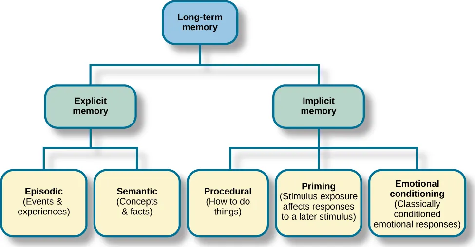 A diagram consists of three rows of boxes. The box in the top row is labeled “long-term memory;” a line from the box separates into two lines leading to two boxes on the second row, labeled “explicit memory” and “implicit memory.” From each of the second row boxes, lines split and lead to additional boxes. From the “explicit memory” box are two boxes labeled “episodic (events and experiences)” and “semantic (concepts and facts).” From the “implicit memory” box are three boxes labeled “procedural (How to do things),” “Priming (stimulus exposure affects responses to a later stimulus),” and “emotional conditioning (Classically conditioned emotional responses).”