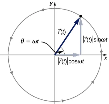 Okrąg o promieniu r jest zaczepiony w początku układu współrzędnych x,y. Wektor wodzący o długości r jest skierowany do pewnego punktu na okręgu (w pierwszej ćwiartce) pod kątem theta równym omega razy t, liczonym od osi x. Składowa x wektora wodzącego ma długość r razy kosinus omega t, a składowa y ma długość r razy sinus omega t. Ruch cząstki jest zaznaczony strzałkami przeciwnie do wskazówek zegara.