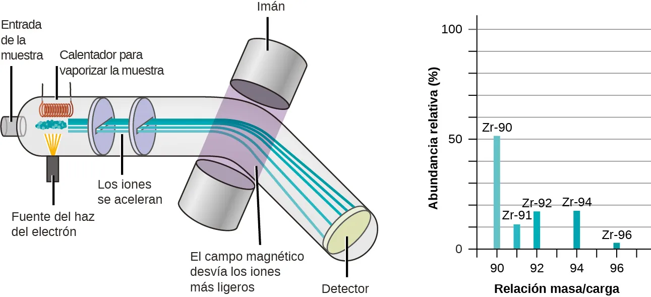 El diagrama de la izquierda muestra cómo funciona un espectrómetro de masas, que es principalmente un gran tubo que se dobla hacia abajo en su punto medio. La muestra entra por el lado izquierdo del tubo. Un calentador calienta la muestra, provocando su vaporización. La muestra también recibe un haz de electrones mientras se vaporiza. Las partículas cargadas de la muestra, llamadas iones, se aceleran y pasan entre dos imanes. El campo magnético desvía más los iones más ligeros. La desviación de los iones se mide mediante un detector situado en el lado derecho del tubo. El gráfico de la derecha del espectrómetro muestra un espectro de masas del circonio. La abundancia relativa, como porcentaje de 0 a 100, se representa en el eje y, y la relación masa/carga se representa en el eje x. La muestra contiene cinco isómeros diferentes de circonio. Z R 90, que tiene una relación masa/carga de 90, es el isótopo más abundante, con un 51 % de abundancia relativa. Z R 91 tiene una relación masa/carga de 91 y una abundancia relativa de aproximadamente el 11 %. Z R 92 tiene una relación masa/carga de 92 y una abundancia relativa de aproximadamente el 18 %. Z R 94 tiene una relación masa/carga de 94 y una abundancia relativa de aproximadamente el 18 %. Z R 96, que tiene una relación masa/carga de 96, es el isótopo de circonio menos abundante, con una abundancia relativa de aproximadamente el 2 %.