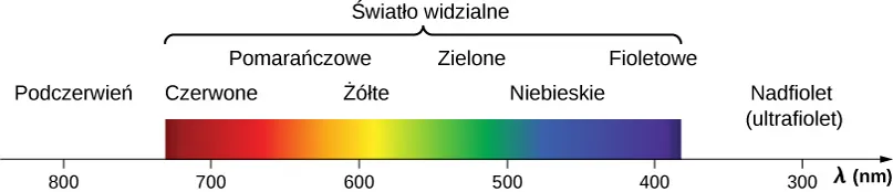 Figura przedstawia barwy związane z różnymi długościami fali, ustawione w kolejności malejących długości fali mierzonych w nanometrach. Długość fali określa się literą lambda. Podczerwień zaczyna się od 800 nanometrów. Dalej jest światło widzialne stanowiące ciągłą sekwencję kolorów: czerwony ma 700 nanometrów, pomarańczowy i żółty są w pobliżu 600 nanometrów, zielony i niebieski to około 500 nanometrów, a fioletowy to 400 nanometrów. Sekwencja kończy się ultrafioletem, który rozciąga się poza światłem widzialnym do długości fali około 300 nanometrów.