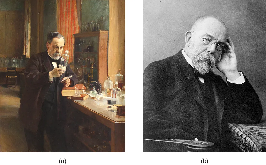 Figure a is a drawing of Louis Pasteur in his lab. Figure b is a photograph of Robert Koch.