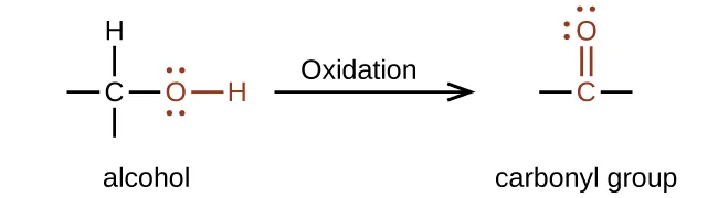 A reaction is shown. On the left appears an alcohol and on the right, a carbonyl group. Above the reaction arrow appears the word “oxidation.” The alcohol is represented as a C atom with dashes to the left and below, an H atom bonded above, and an O atom bonded to an H atom in red connected to the right. The O atom has two sets of electron dots. The carbonyl group is indicated in red with a C atom to which an O atom is double bonded above. Dashes appear left and right of the C atom in black. The O atom has two sets of electron dots.