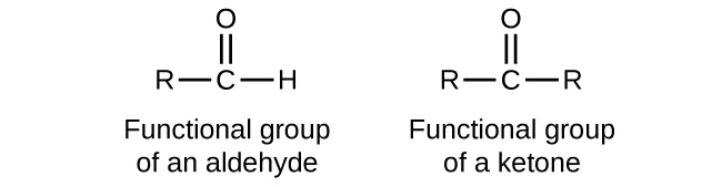 Five structures are shown. The first is a C atom with an R group bonded to the left and an H atom to the right. An O atom is double bonded above the C atom. This structure is labeled, “Functional group of an aldehyde.” The second structure shows a C atom with R groups bonded to the left and right. An O atom is double bonded above the C atom. This structure is labeled, “Functional group of a ketone.” The third structure looks exactly like the functional group of a ketone. The fourth structure is labeled C H subscript 3 C H O. It is also labeled, “An aldehyde,” and “ethanal (acetaldehyde).” This structure has a C atom to which 3 H atoms are bonded above, below, and to the left. In red to the right of this C atom, a C atom is attached which has an O atom double bonded above and an H atom bonded to the right. The O atom as two sets of electron dots. The fifth structure is labeled C H subscript 3 C O C H subscript 2 C H subscript 3. It is also labeled, “A ketone,” and “butanone.” This structure has a C atom to which 3 H atoms are bonded above, below, and to the left. To the right of this in red is a C atom to which an O atom is double bonded above. The O atom has two sets of electron dots. Attached to the right of this red C atom in black is a two carbon atom chain with H atoms attached above, below, and to the right.