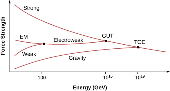 Graph of Force Strength versus Energy in GeV. A curve labeled strong slopes down and right. A point on the curve with an x value of 10 to the power 19 is labeled TOE. A curve labeled gravity branches out from here, going down and left. A point on the strong curve, with an x value of 10 to the power 15 is labeled GUT. A curve going left branches out from here. It is labeled Electroweak. This branches into two at a point with an x value of 100. The branch going left is labeled EM and the one going down and left is labeled weak.