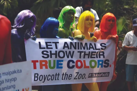 An image of a group of six people, each one painted a different color, holding a sign that reads “Let animals show their true colors. Boycott the zoo. Peta Asia Pacific.”.