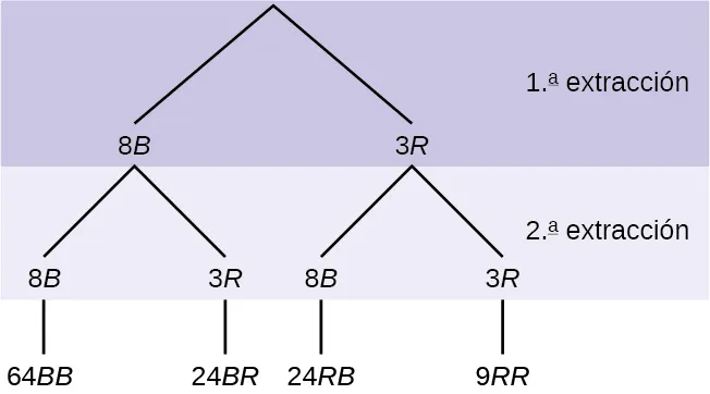 Se trata de un diagrama de árbol con ramas que muestran las frecuencias de cada vez que saca una. La primera rama muestra dos líneas: 8B y 3R. La segunda rama tiene un conjunto de dos líneas (8B y 3R) por cada línea de la primera rama. Multiplique a lo largo de cada línea para hallar 64BB, 24BR, 24RB y 9RR.
