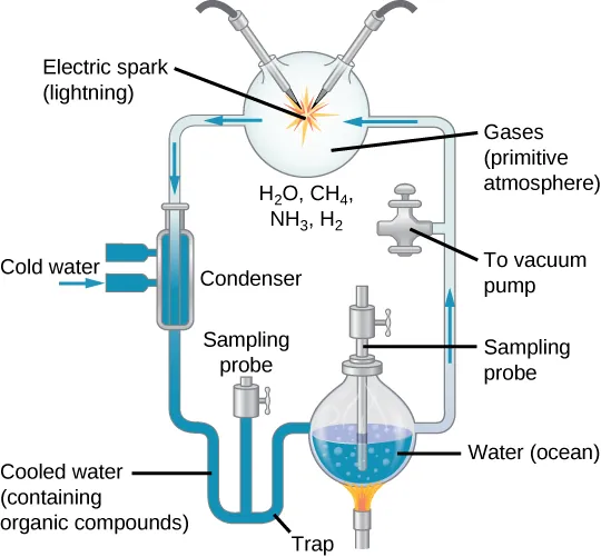 A sealed glassware laboratory setup creates conditions needed to produce organic compounds from inorganic precursors. Water is heated in a flask, and the steam is allowed to rise through a glass tube to a globe containing methane, ammonia and hydrogen gas, and where electrodes produce an electric spark. The gaseous mixture falls through a condenser, where it cools and becomes liquid. The cooled liquid is collected in a trap, where a sampling probe is inserted.