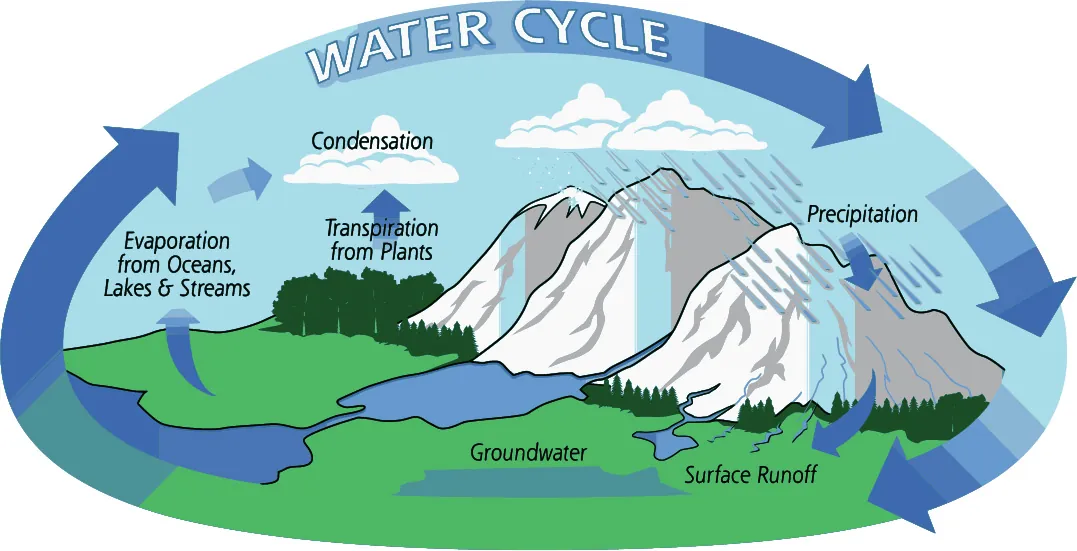 An illustration represents the water cycle. Through the evaporation process, water from the ocean gets evaporated. The evaporated water converts into clouds through the condensation process. Through the precipitation process, rain pours down from clouds. The surface runoff water from the mountains reaches the lake and from the lake to the ocean.