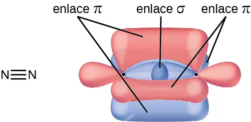 Dos átomos de nitrógeno se muestran tanto en una estructura de Lewis como en un diagrama. La estructura de Lewis representa los dos átomos de nitrógeno unidos por un triple enlace. El diagrama muestra dos átomos de nitrógeno y sus tres orbitales p en forma de maní. Uno de los orbitales se encuentra en posición horizontal y se superpone entre los dos núcleos. Está marcado como "enlace sigma". Los otros dos se sitúan verticalmente y en el plano z de la página. Se superponen por encima y por debajo y dentro y fuera de la página en relación con los núcleos. Cada uno está marcado como "enlace pi".