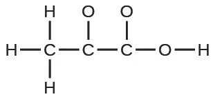Se muestra una estructura de Lewis. Un átomo de carbono está unido con enlace simple a tres átomos de hidrógeno y a otro átomo de carbono. El segundo átomo de carbono está unido a un átomo de oxígeno y a un tercer átomo de carbono. Este carbono está unido con enlace simple a dos átomos de oxígeno, uno de los cuales está unido a un átomo de hidrógeno.