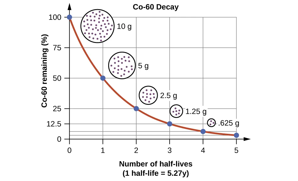 A graph, titled “C o dash 60 Decay,” is shown where the x-axis is labeled “C o dash 60 remaining, open parenthesis, percent sign, close parenthesis” and has values of 0 to 100 in increments of 25. The y-axis is labeled “Number of half dash lives” and has values of 0 to 5 in increments of 1. The first point, at “0, 100” has a circle filled with tiny dots drawn near it labeled “10 g.” The second point, at “1, 50” has a smaller circle filled with tiny dots drawn near it labeled “5 g.” The third point, at “2, 25” has a small circle filled with tiny dots drawn near it labeled “2.5 g.” The fourth point, at “3, 12.5” has a very small circle filled with tiny dots drawn near it labeled “1.25 g.” The last point, at “4, 6.35” has a tiny circle filled with tiny dots drawn near it labeled.”625 g.”