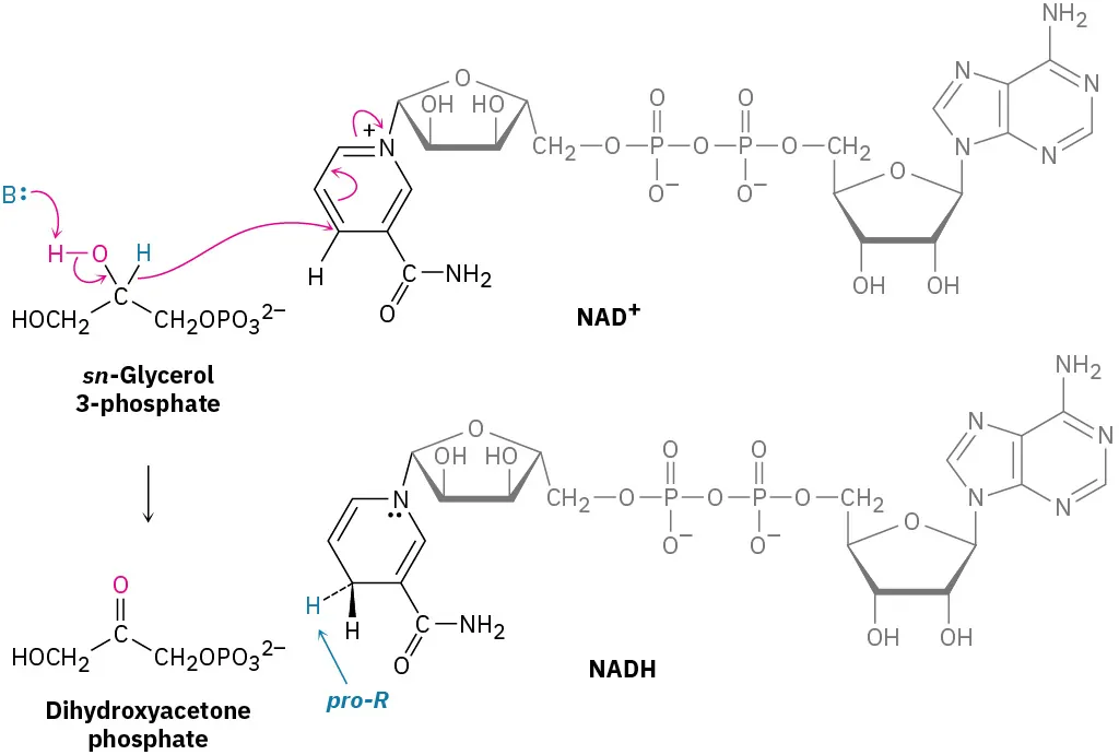 17.7 Oxidation of Alcohols - Organic Chemistry | OpenStax