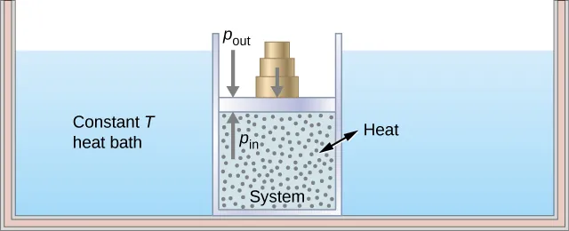 The figure illustrates a large insulated container filled with fluid. This fluid is labeled as the constant T heat bath. Inside the heat bath is a smaller container filled with gas. The smaller gas container is capped by a piston that has weights on top of it. The inside of the smaller container is the system. A double headed arrow across the smaller container’s walls labeled “heat” indicates that heat can flow between the bath and the system. An upward arrow inside the system points up at the bottom of the piston and is labeled p in. A downward arrow outside the system points down at the top of the piston and is labeled p out. A second downward arrow points at the top of the piston where the weights are stacked.