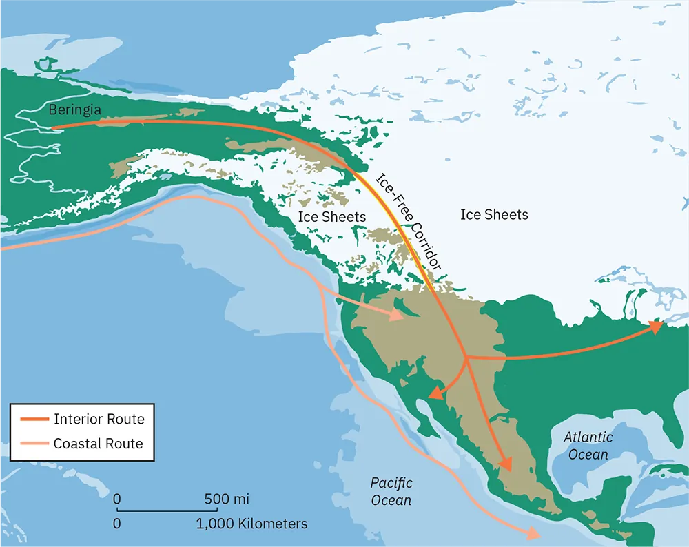 A map depicting North America, with an area of land, labelled Beringia, connecting the northern portions of North American and Russia. The upper two-thirds of North America is depicted covered in ice sheets. There are two lines drawn onto the map. 1) The line labeled "Interior Route" begins in the area labeled Beringia and traces down the Western portion of North America. In the approximate location of what is now Utah, the line branches off in three separate directions: one tracing eastward to the Great Lakes, one stretching south into Mexico, and one veering west to the coast of what is now California. 2) The line labelled "Coastal Migration Route" begins in the ocean beneath Beringia and travels east and south, tracing the coast of North American. The line forks around what is now Oregon, with one branch veering eastward into the interior of North American and the other continuing down the coast to Mexico.