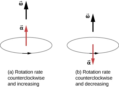 Figure A shows rotation in the counterclockwise direction. The angular acceleration is in the same direction as the angular velocity. Text under the figure states “Rotation rate counterclockwise and increasing. Figure B shows rotation in the clockwise direction. The angular acceleration is in the direction opposite to the angular velocity. Text under the figure states “Rotation rate clockwise and decreasing.