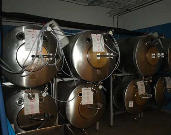 This photo shows large cylindrical fermentation tanks stacked one on top of the other.