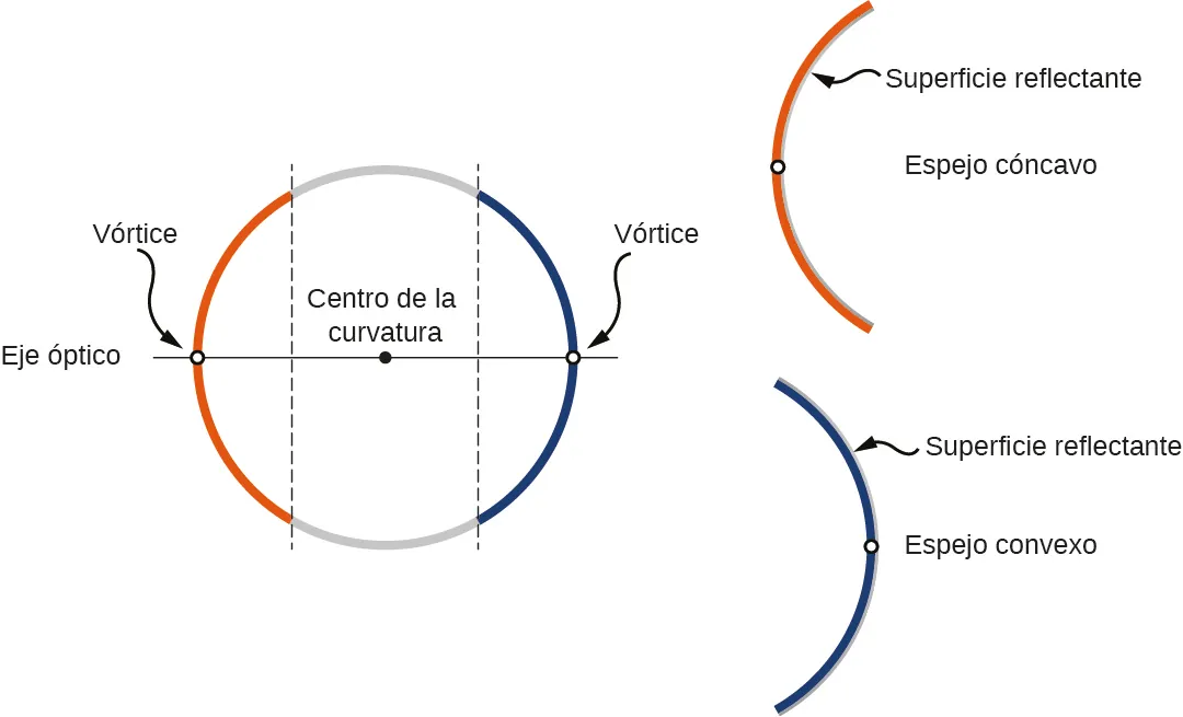 La figura a muestra un círculo, dividido por dos líneas paralelas, que forman dos arcos, uno naranja y el otro azul. Una línea marcada como eje óptico pasa por el centro del círculo, intersectándolo en los puntos medios de ambos arcos. Cada punto medio está marcado como vértice. En la figura b se muestra el arco naranja, marcado como espejo cóncavo, con la superficie reflectante mostrada en el interior. En la figura c se muestra el arco azul, marcado como espejo convexo, con la superficie reflectante mostrada en el exterior.