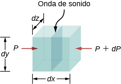 La imagen es un dibujo esquemático de una onda sonora que se mueve a través de un volumen de fluido con los lados de dimensiones dx, dy y dz. La presión es diferente en los lados opuestos.