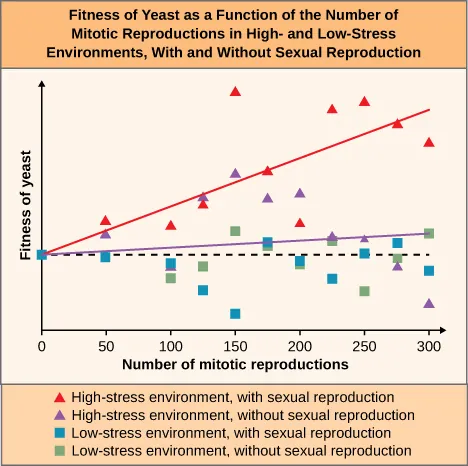 The line graph is titled: Fitness of Yeast as a function of the number of mitotic reproductions in High and low stress environments with or without sexual reproduction. The key at the bottom states that red tringles are high-stress environments with sexual reproduction, purple triangles are high-stress environments without sexual reproduction, blue squares are low-stress environment with sexual reproduction and green squares are low stress environments without sexual reproduction. The x-axis is labelled Number of mitotic reproductions and has tick marks for 0, 50, 100, 150, 200, 250, and 300. The Y axis is labelled 0 approximately ¼ of the way up the graph. There is a red diagonal line that starts at 0,0 and ends near the top of the y-axis when the x-axis value is 300. There is a purple diagonal line that starts at 0, 0 and ends slightly above 0 at 300.  At 50 on the x axis, there is a blue square at 0 on the y-axis, a purple and a red triangle above zero . At 100 on the x-axis, there is a green square and a blue square under the 0 point and a red square above the 0 point. Between 100 and 150, there is a blue square and green square below and a red triangle and a purple triangle above the 0.  At the 150 point on the x axis, there is a blue square well below the 0, a green square a bit above the 0, an purple and red triangles well above the 0. Between 150 and 200, all four colors are above 0. At the 200 point, the blue and green squares are below 0 and the red and purple triangles are well above 0. Between 200 and 250, the blue square is below 0 and all other colors are above 0. At 250 the green square is well below 0, the blue square is right on 0, the purple triangle is above 0, and a red triangle near the top of the graph.  Between 250 and 300 the purple and green triangles are below zero, the blue square is above zero, and the red triangle is near the top of the graph. At 300, the purple triangle and blue square are below zero, the green square is above zero, and the red triangle is near the top of the graph.
