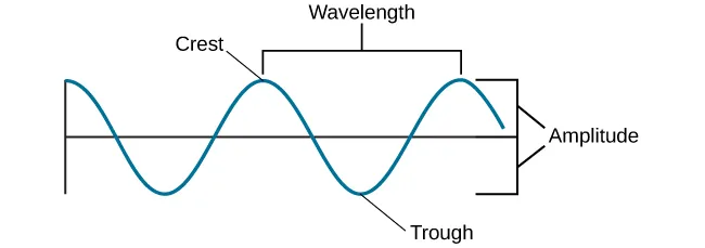A diagram illustrates the basic parts of a wave. Moving from left to right, the wavelength line begins above a straight horizontal line and falls and rises equally above and below that line. One of the areas where the wavelength line reaches its highest point is labeled “Peak.” A horizontal bracket, labeled “Wavelength,” extends from this area to the next peak. One of the areas where the wavelength reaches its lowest point is labeled “Trough.” A vertical bracket, labeled “Amplitude,” extends from a “Peak” to a “Trough.”