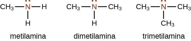 Se muestran tres estructuras, cada una con un átomo de N central que tiene un par de puntos de electrones indicados en rojo sobre los átomos de N. La primera estructura está marcada como metilamina. A la izquierda del átomo de N, se enlaza un grupo C H subíndice 3. Los átomos de H están enlazados a la derecha y abajo del átomo central de N. La segunda estructura está marcada como dimetilamina. Esta estructura tiene grupos C H subíndice 3 enlazados a la izquierda y a la derecha del átomo de N y un único átomo de H está enlazado por debajo. La tercera estructura está marcada como trimetilamina, que tiene grupos C H subíndice 3 enlazados a la izquierda, a la derecha y por debajo del átomo central de N.