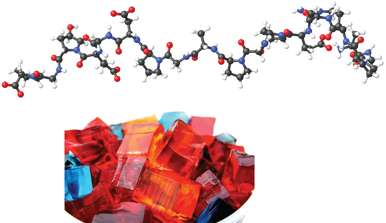 En esta figura, se muestra un gran modelo molecular de gelatina con átomos de carbono negros, átomos de oxígeno rojos, átomos de hidrógeno blancos y átomos de nitrógeno azules. Se muestra una foto del postre de gelatina cortado en rectángulos de colores.