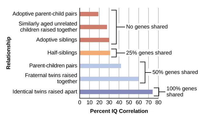 A chart shows correlations of IQs for people of varying relationships. The bottom is labeled “Percent IQ Correlation” and the left side is labeled “Relationship.” The percent IQ Correlation for relationships where no genes are shared, including adoptive parent-child pairs, similarly aged unrelated children raised together, and adoptive siblings are around 21 percent, 30 percent, and 32 percent, respectively. The percent IQ Correlation for relationships where 25 percent of genes are shared, as in half-siblings, is around 33 percent. The percent IQ Correlation for relationships where 50 percent of genes are shared, including parent-children pairs, and fraternal twins raised together, are roughly 44 percent and 62 percent, respectively. A relationship where 100 percent of genes are shared, as in identical twins raised apart, results in a nearly 80 percent IQ correlation.