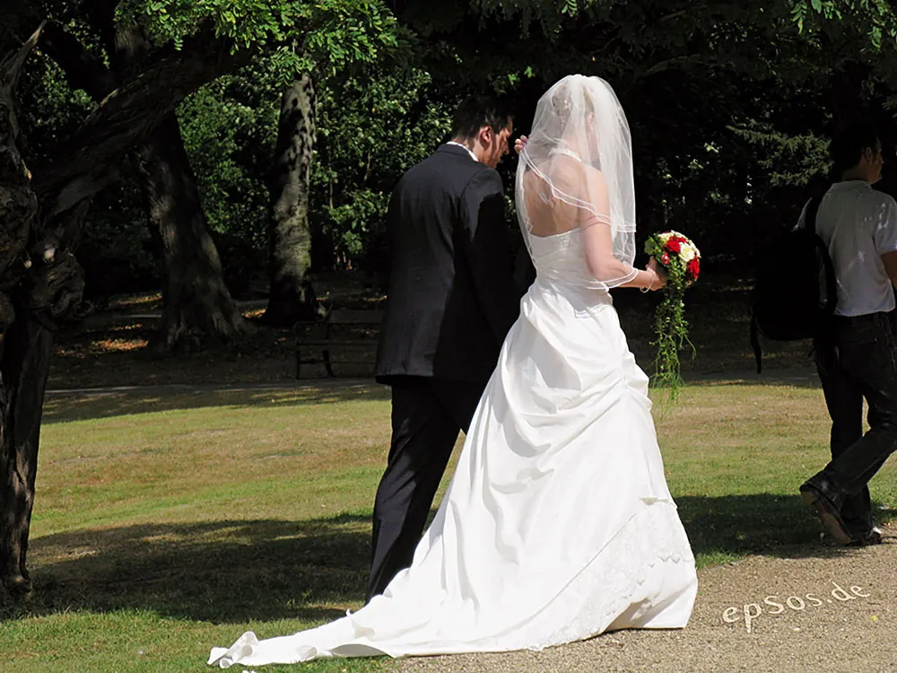 A bride and groom are shown from behind walking in a park setting.