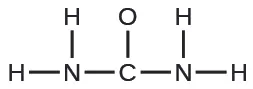 Se muestra una estructura de Lewis. Un átomo de nitrógeno está unido con enlace simple a dos átomos de hidrógeno y a un átomo de carbono. El átomo de carbono está unido con enlace simple a un átomo de oxígeno y a otro de nitrógeno. Ese átomo de nitrógeno tiene un enlace simple a dos átomos de hidrógeno.
