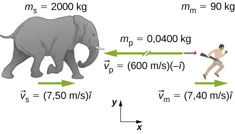 Rysunek przedstawia słonia po lewej stronie i myśliwego po prawej stronie rysunku. Oznaczono układ współrzędnych xy, z dodatnią półosią x skierowaną poziomo w prawo i dodatnią półosią y skierowaną pionowo w górę. Słoń opisany jest danymi: m S = 2000 kg i v s = 7,5 m/s. Wektor prędkości słonia skierowany jest w prawo. Myśliwy opisany jest danymi: m m = 90 kg i v m = 7,4 m/s. Wektor prędkości myśliwego skierowany jest również w prawo. Pomiędzy myśliwym i słoniem narysowano poruszającą się w lewo lotkę ze środkiem usypiającym, której masa m l wynosi 0,04 kg, a prędkość v l = 600 m/s.