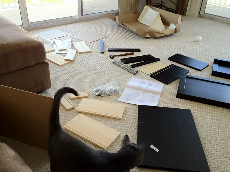 In a residence, a cat is looking at tools, an instruction booklet for assembly, and pieces of furniture laid out on the floor.