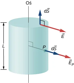 Rysunek przedstawia cylinder o długości L. Linia prostopadła do osi x łączy oś z punktem P na powierzchni cylindra. Strzałka oznaczająca delta wektor S skierowana jest na zewnątrz od P w tym samym kierunku co linia. Inna strzałka oznaczająca wektor E z indeksem P wychodzi z końca tej strzałki wskazuje ten sam kierunek. Trzecia strzałka oznaczająca wektor delta S jest skierowana na zewnątrz od górnej podstawy cylindra i jest do niej prostopadła. Strzałka oznaczająca wektor E wychodzi od poczatku trzeciej strzałki i jest do niej prostopadła. 