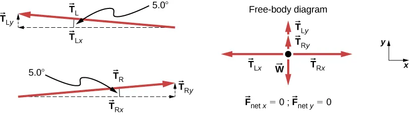 There are three figures. The first one shows TL, at an angle of 5 degrees with the horizontal, pointing left. Two dotted arrows, TLx, pointing straight left and TLy pointing straight up, form a right triangle with TL. The second figure shows TR, at an angle of 5 degrees with the horizontal, pointing right. Two dotted arrows, TRx, pointing straight right and TRy pointing straight up, form a right triangle with TR. The third figure shows a free body diagram. TRx points right. TRy and TLy point up. TLx points left. W points down. Net Fx is equal to 0 and net Fy is qual to 0.