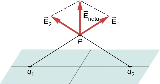 La figura muestra un plano. Los puntos q1 y q2 están en el plano, equidistantes de su centro. Las líneas conectan estos puntos con un punto P sobre el plano. Las flechas marcadas vector E1 y vector E2 se originan en el punto P y apuntan en direcciones opuestas a las líneas que conectan P con q1 y q2 respectivamente. Una tercera flecha desde P biseca el ángulo formado por las dos primeras flechas. Se trata de un vector marcado como E subíndice net.