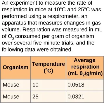 A table showing that the average mouse respiration rate at 10 degrees Celsius is .0518 milliliters of oxygen consumed per gram of mass per minute, and at 25 degrees Celsius, the rate is .0321 milliliters of oxygen consumed per gram of mass per minute.