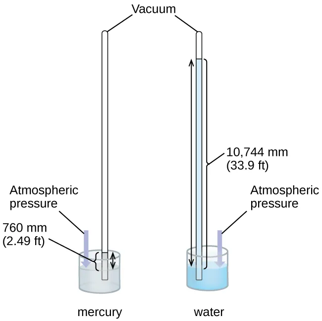 This figure shows two barometers. The barometer to the left contains a shallow reservoir, or open container, of mercury. A narrow tube extends upward from the reservoir above the reservoir. This tube is sealed at the top. To the right, a second similar setup is shown with a reservoir filled with water. Line segments connect the label “vacuum” to the tops of the two narrow tubes. The tube on the left shows the mercury in the reservoir extending in a column upward in the narrow tube. Similarly, the tube on the right shows the water in the reservoir extending upward into the related narrow tube. Double-headed arrows extend from the surface of each liquid in the reservoir to the top of the liquid in each tube. A narrow column or bar extends from the surface of the reservoir to the same height. This bar is labeled “atmospheric pressure.” The level of the water in its tube is significantly higher than the level of mercury in its tube.