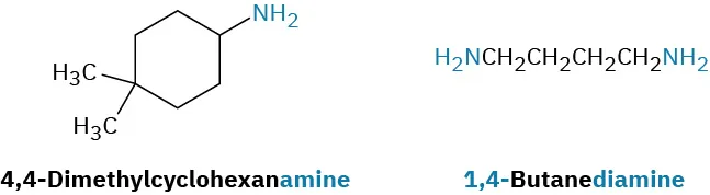 The structures of 4,4-dimethylcyclohexanamine and 1,4-butanediamine. 4,4-dimethylcyclohexanamine has cyclohexane ring with two methyl groups on C4 and amine on C1. 1,4-butanediamine is four-carbon chain with amines on C1 and C4.