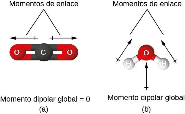 Se muestran dos imágenes marcadas, "a" y "b". La imagen a muestra un átomo de carbono unido a dos átomos de oxígeno en un modelo de bola y palo. Dos flechas se alejan del centro de la molécula en direcciones opuestas y se dibujan horizontalmente como la molécula. Estas flechas están marcadas como "momentos de enlace" y la imagen está marcada como "momento dipolar global igual a 0" La imagen b muestra un átomo de oxígeno unido a dos átomos de hidrógeno en una disposición en forma de V hacia abajo. Por debajo de la molécula se dibuja una flecha vertical hacia arriba, mientras que por encima de la molécula se dibujan dos flechas orientadas hacia arriba y hacia dentro. Las flechas superiores están marcadas como "momentos de enlace", mientras que la imagen está marcada como "momento dipolar global".