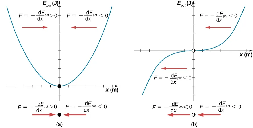 Dwa wykresy E sub pot w dżulach (oś pionowa) jako funkcja x w metrach (oś pozioma). Na rysunku a, E sub pot w funkcji x jest parabolą, której ramiona skierowane są w górę, a wierzchołek jest oznaczony czarną kropką umieszczoną w punkcie x = 0, E sub pot = 0. Obszar wykresu na lewo od x=0 jest oznaczony czerwoną strzałką skierowaną w prawo i opisaną równaniem F równa się minus pochodna E sub pot po x jest większa od zera. Obszar wykresu na prawo od x=0 jest oznaczony czerwoną strzałką skierowaną w lewo i opisaną równaniem F równa się minus pochodna E sub pot po x jest mniejsza niż zero. Pod wykresem znajduje się kopia kropki pomiędzy kopiami czerwonych strzałek oraz relacji F równa się minus pochodna E sub pot po x jest mniejsza niż zero po lewej stronie oraz F równa się minus pochodna E sub pot po x jest mniejsza niż zero, po prawej. Na rysunku b, E sub pot w funkcji x jest funkcją rosnącą z punktem przegięcia oznaczonym kółkiem w połowie wypełnionym, umieszczonym w punkcie x=0, E sub pot = 0. Obszar wykresu na lewo od x=0 jest oznaczony czerwoną strzałką, skierowaną w lewo i opisany równaniem F równa się minus pochodna E sub pot po x jest mniejsza niż zero. Obszar wykresu na prawo od x=0 jest także oznaczony czerwoną strzałką skierowaną w lewo i opisaną równaniem F równa się minus pochodna E sub pot po x jest mniejsza niż zero. Pod wykresem znajduje się kopia kółka pomiędzy kopiami czerwonych strzałek, z których obie są skierowane w lewo oraz relacje: F równa się minus pochodna E sub pot po x jest mniejsza niż zero po lewej i F równa się minus pochodna E sub pot po x jest mniejsza niż zero po prawej.